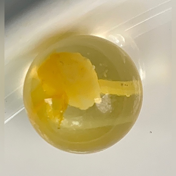 Vintage Yellow Egg Yolk Cat’s Claw Blown Glass Antique Marble - Picture 4 of 16